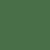 Monstera Green