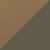 Coyote / Taiga Green